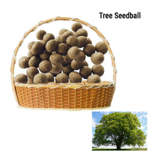 Tree Seedballs 100 Pack