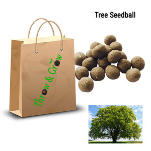 Tree Seedballs 20 Pack
