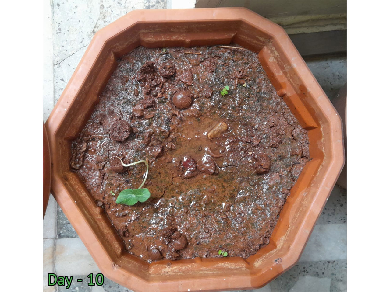 day10