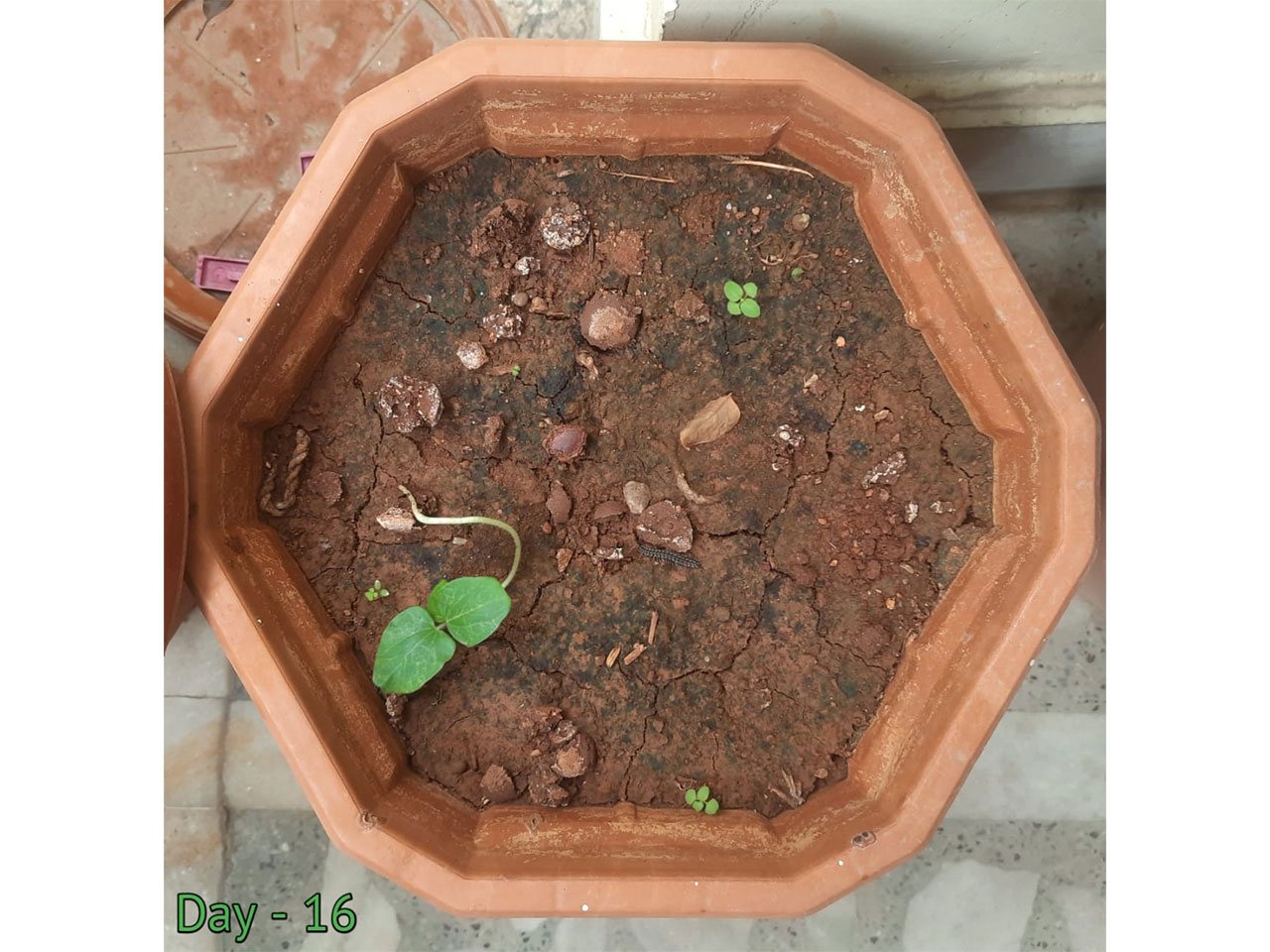 day16